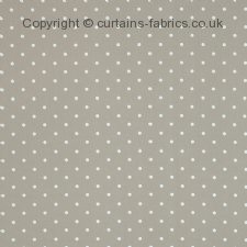 Viewing DOTTY by CURTAIN EXPRESS