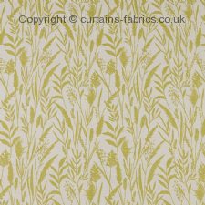 WILD GRASSES  roman blinds by iLIV INTERIOR TEXTILES